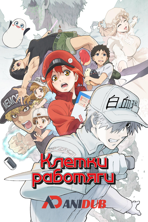 Клетки-работяги ТВ-2 / Hataraku Saibou!! TV-2 [08 из 08]